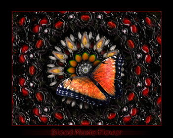 Music Butterfly Flower, orange, abstract, butterfly, flower HD wallpaper