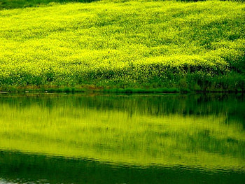 bismil tiny lake turkey, turkey, bismil, lake, tiny HD wallpaper