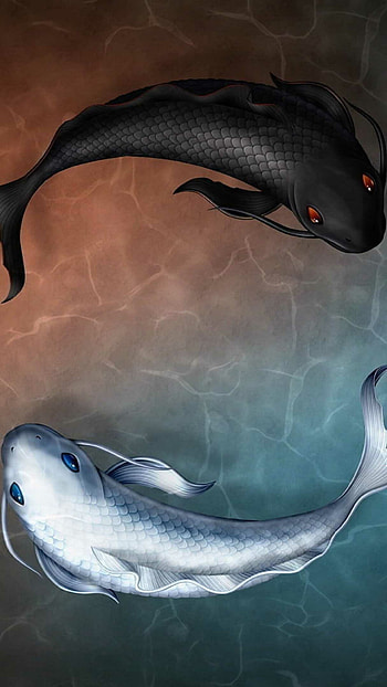 Koi fish , Serene aquatic scenes, Oriental tranquility, Japanese fish HD phone wallpaper
