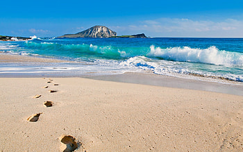 Footprints In The Sand, footprints, sand, water, beach HD wallpaper