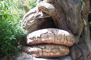Tree Snake, snake, greenery, carving, tree HD wallpaper