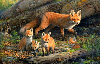 Fox Venturing Out, colors, forests, paintings, love four seasons, leaves, family, animals, autumn, foxes, fall season HD wallpaper