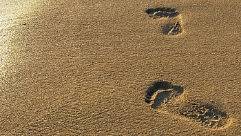 Footprint 01, Footprints in the Sand HD wallpaper