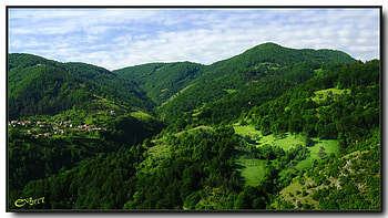 The Green Mountain, graphy, tree, mountain, green, bulgaria, clouds, trees, nature, sky, , forest HD wallpaper