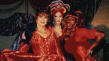 To Wong Foo Thanks, Julie Newmar HD wallpaper