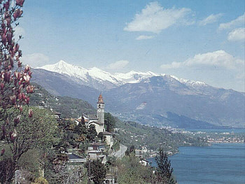 Ascona Lago Maggiore, sky, tree, village, mountain HD wallpaper