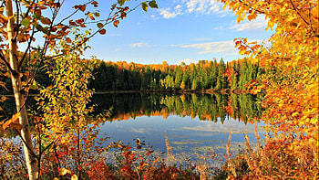 Different Shades of Autumn, fall, clouds, trees, autumn, sky, nature, forest, lake HD wallpaper