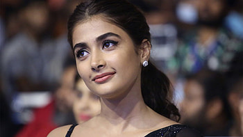 Beautiful Actress Pooja Hegde Is Sitting In Blur Background Wearing Black Saree Girls HD wallpaper