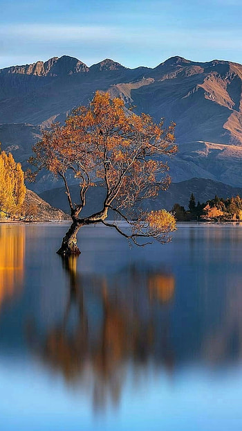 Nature, beautiful, Nature Beautiful HD phone wallpaper