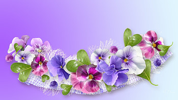 Windows Theme HD wallpaper