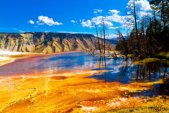 Yellowstone National Park, , Nature's masterpiece, Visual delight HD wallpaper