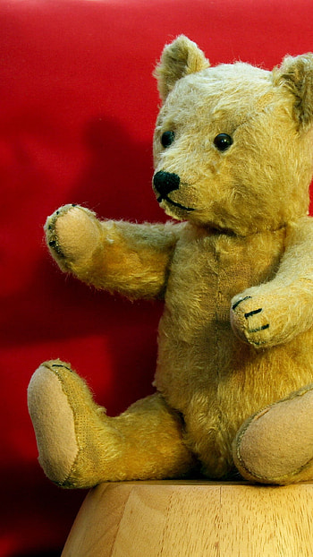 Teddy Bear Live, Cute Soft Toy HD phone wallpaper
