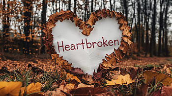 Heartbroken: A Stunning Ultra, heartbroken, love, Autumn, leaf, nature HD wallpaper