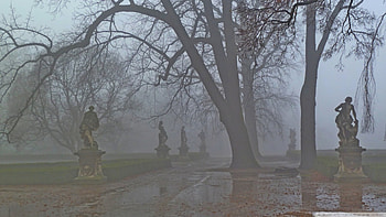 Foggy Park in Minnesota, Foggy, Park, MN, Tree HD wallpaper