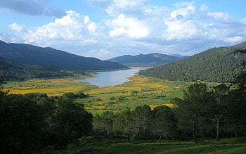 Nature, Rivers, Trees, Sky, Mountains, Greens, Valley HD wallpaper