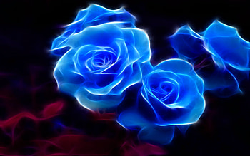 FRACTAL ROSES in BLUE, blue, fractal, roses, blossoms HD wallpaper