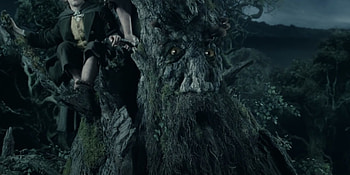 Ents of Middle-earth, Ents origins, Tree-like guardians, The Lord of the Rings HD wallpaper