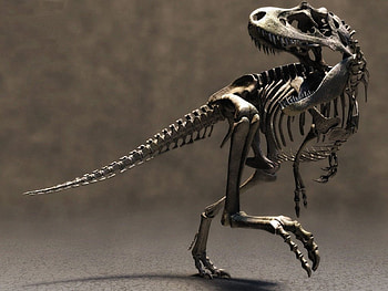 Animals, Art, Dinosaurs HD wallpaper