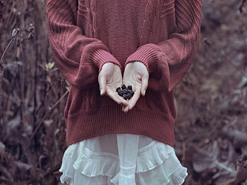 Autumn Song, berries, autumn, girl, female HD wallpaper