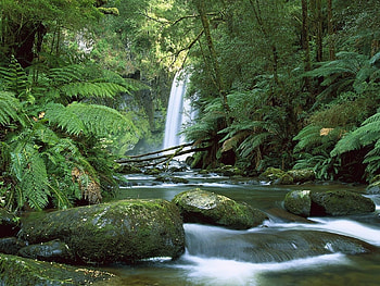 Waterfall, nature, rocks, tree HD wallpaper