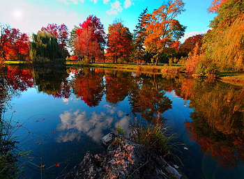 Fall in Canandaigua, fall, canandaigua, trees, autumn, beautiful, pond HD wallpaper