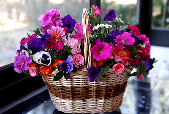 Flowers, Roses, Pansies, Basket, Different, Geranium, Petunia HD wallpaper