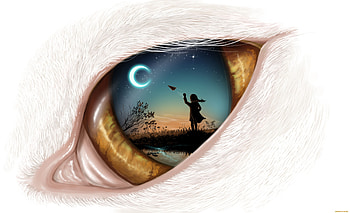 Dream In Eye, dreamy, artist, artwork, digital-art HD wallpaper