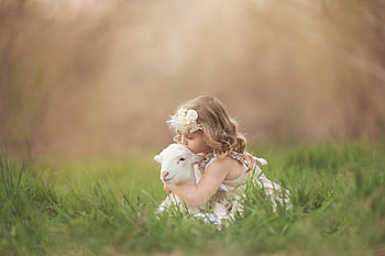 little girl, childhood, blonde, fair, nice, sheep, adorable, bonny, sweet, Belle, white, Hair, girl, comely, sightly, pretty, green, face, kiss, lovely, pure, child, sheeb, graphy, cute, baby, set, Nexus, beauty, kid, beautiful, people, little, pink, love, dainty HD wallpaper