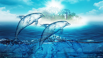 *Trip to the blue of summer*, blue, island, tropic, sea, transparent, hq, seasons, summer, dolphins, water, sun HD wallpaper