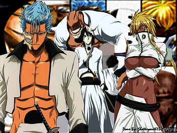Espada 10 6 4 3, espada, bleach, killers, anime HD wallpaper