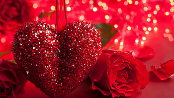 Heart and roses, Valentine's Day HD wallpaper