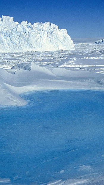 Antarctica Travels, Arctic , Breathtaking visuals, Cold beauty HD phone wallpaper