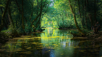 Nature, Stunning visuals, High definition HD wallpaper