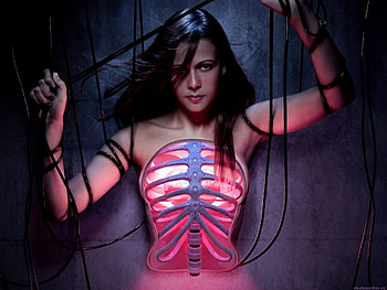 Skelton Women, women HD wallpaper