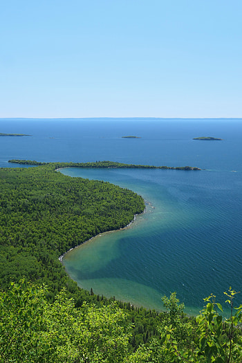 Nature, Trees, Sea, Bush, Horizon, Coast HD phone wallpaper