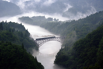 Bridge over Misty Water, mist, bridge, river, forest HD wallpaper
