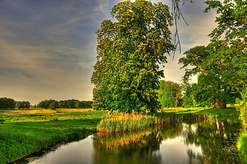 Landscape, Nature, r, Germany, Basedow HD wallpaper