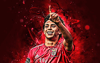 João Félix, SL Benfica, Footballer, Joao Felix, Portuguese, Soccer, benfica HD wallpaper