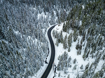 Nature, aerial view, highway, forest HD wallpaper