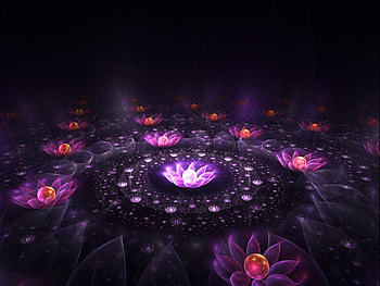 flowerspurple, colorful, beauty, dark, purple, 3d, abstract, pretty, bright, nature, flowers HD wallpaper