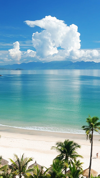 Beach Background, Background HD phone wallpaper