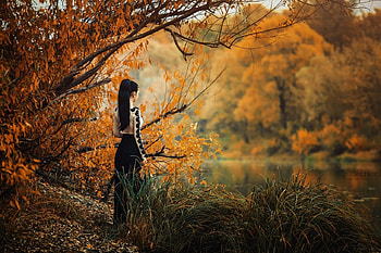 lady, model, graphy, beauty HD wallpaper