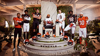 Cincinnati Bengals, Passionate fans, showcasing team spirit HD wallpaper
