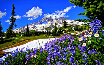 Spring Mountains HD wallpaper