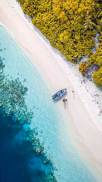Best quality beach, , Stunning scenery, Serene getaway HD phone wallpaper