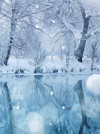 Lake, Snowfall HD phone wallpaper