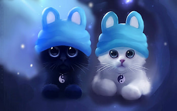 Yin and Yang, Cats HD wallpaper