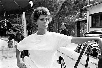 Sophia Loren movies, Rare classic , Movie legend, Iconic moments HD wallpaper