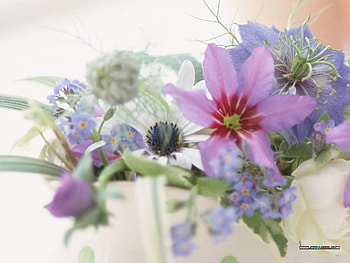 Flower art, purple, still life, bouquet, pretty, flower, nature HD wallpaper