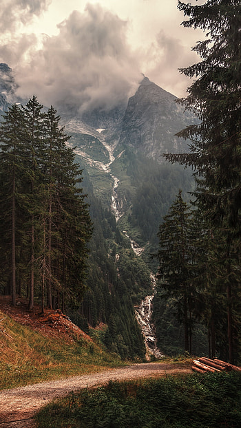 nature, path HD phone wallpaper